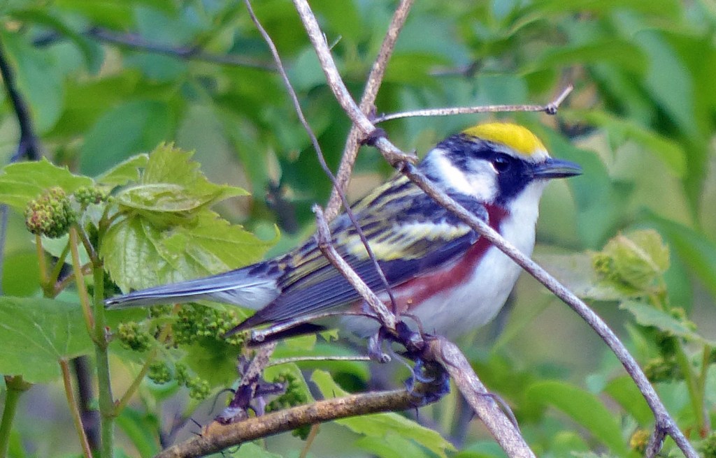 This image has an empty alt attribute; its file name is b0069121.jpg