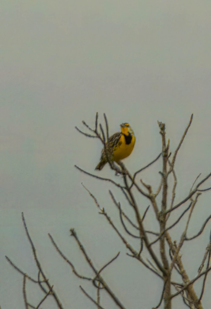 This image has an empty alt attribute; its file name is dsc5709-edit-2-edit.jpg