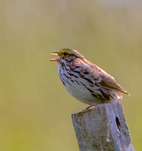 This image has an empty alt attribute; its file name is dsc7507-edit-edit.jpg