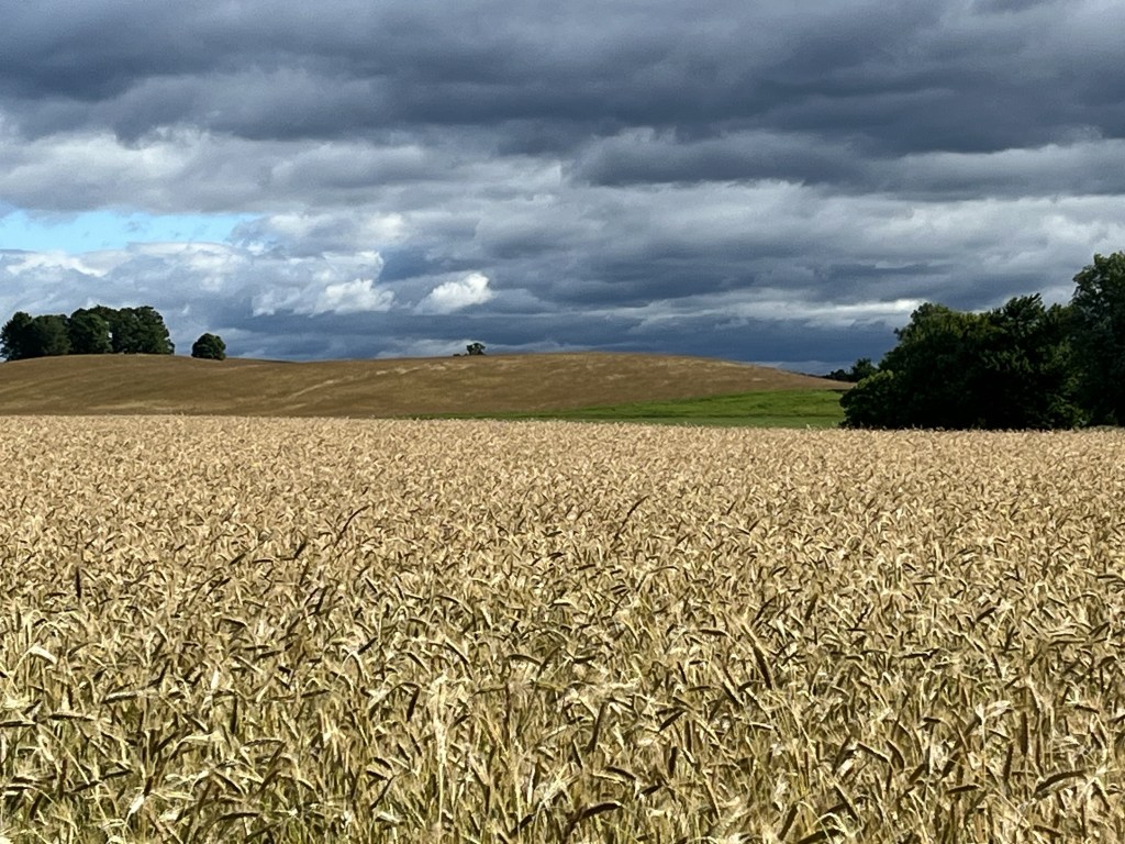 This image has an empty alt attribute; its file name is img_8395.jpg