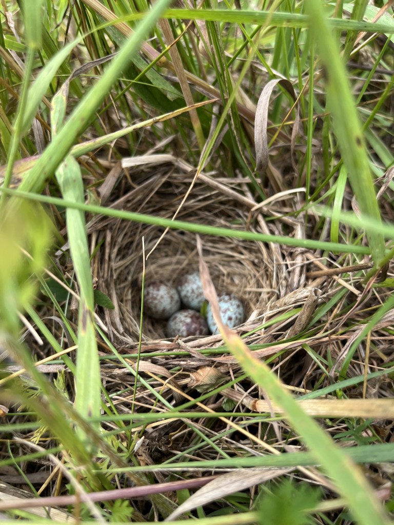 This image has an empty alt attribute; its file name is img_8402.jpg