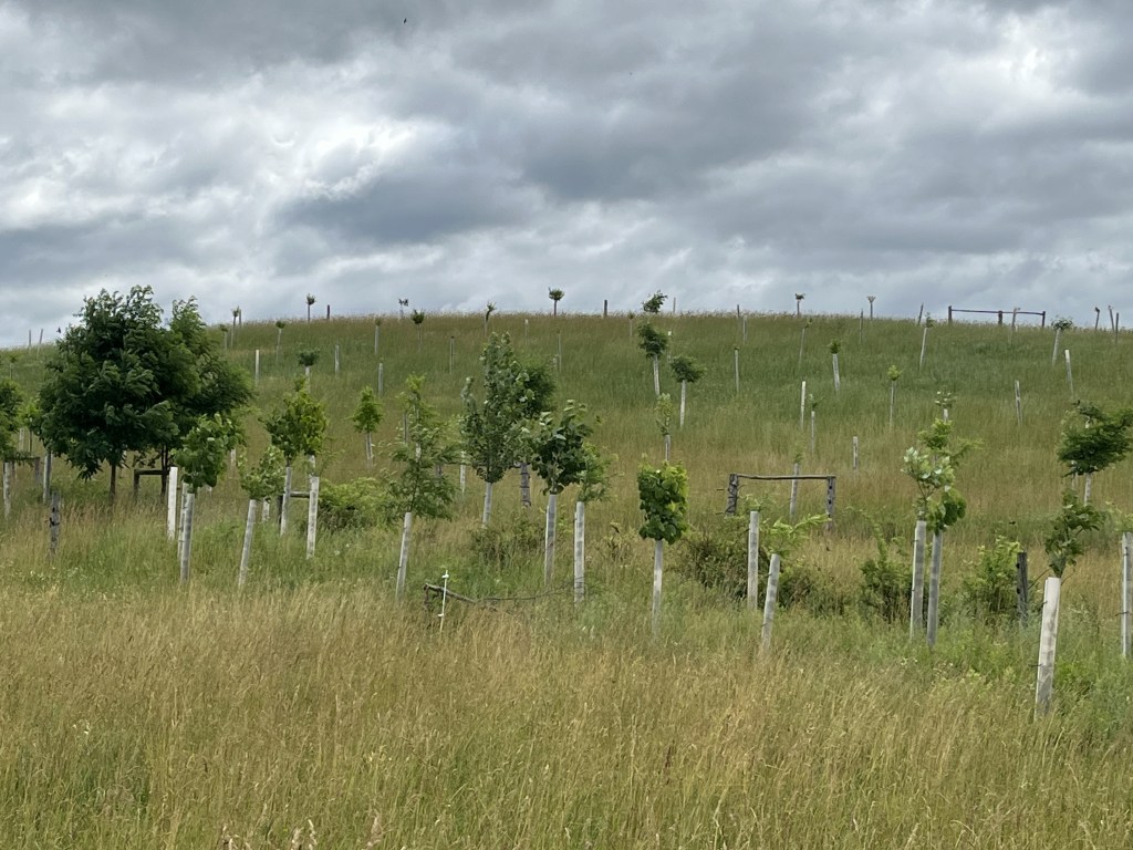 This image has an empty alt attribute; its file name is img_8404.jpg