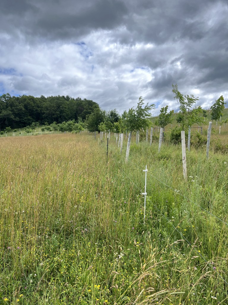 This image has an empty alt attribute; its file name is img_8405-1.jpg