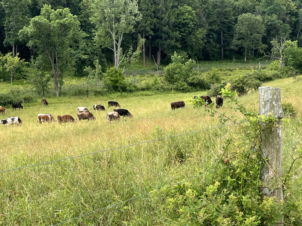 This image has an empty alt attribute; its file name is img_8407.jpg