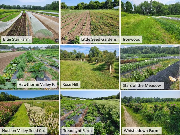 composite of many farm fields