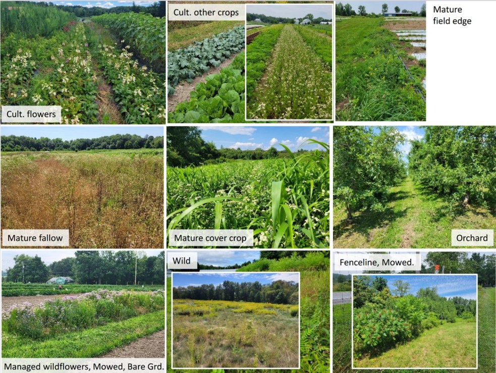 composite of various on-farm management regimes