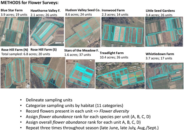 summary of plant survey methods and their characteristics at each farm