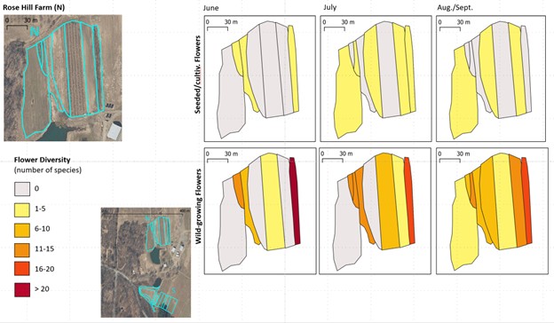 the mapped distribution of seeded and wild-growing flowers