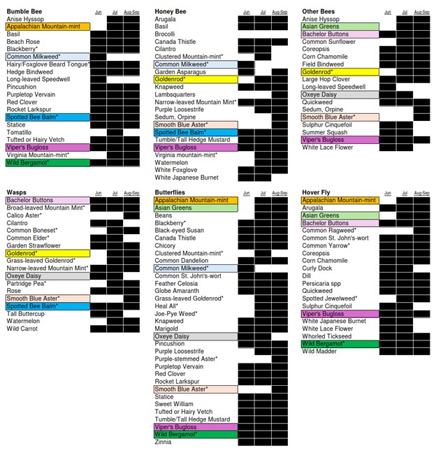 Table of favored flowers by insect group