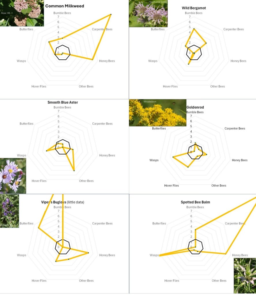 radar diagrams used to show various insect group's flower preferences
