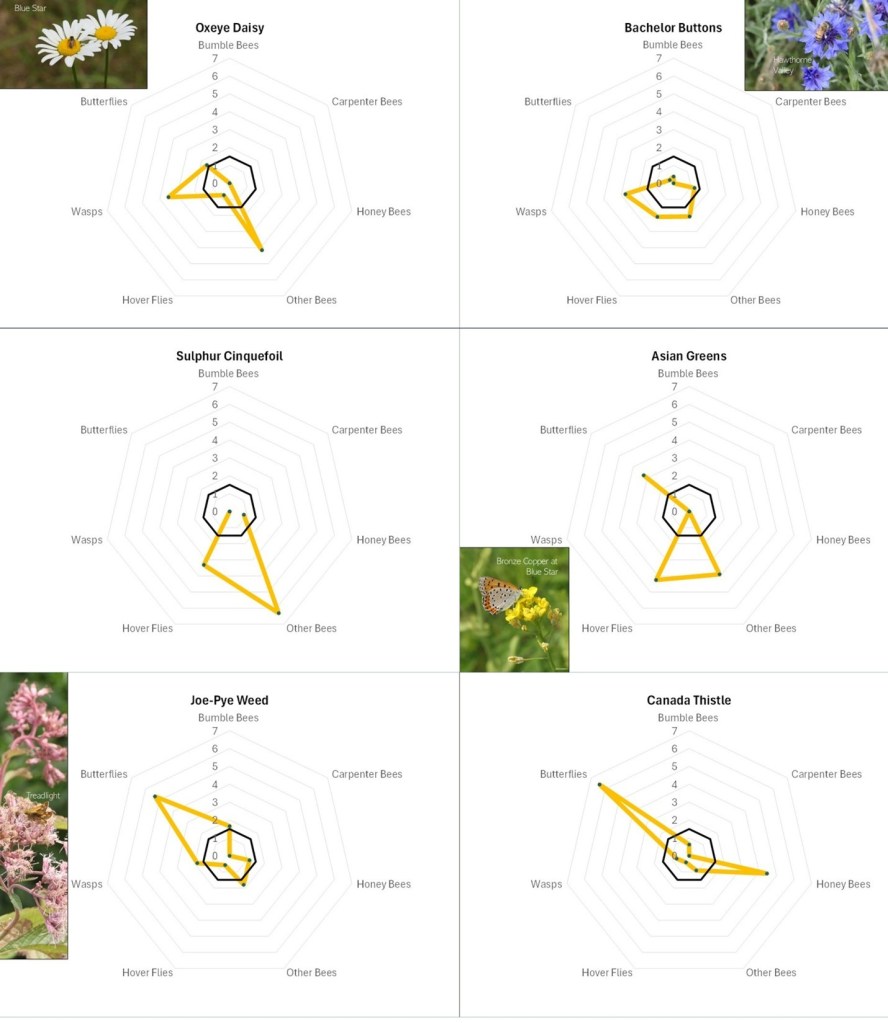 radar diagrams used to show various insect group's flower preferences
