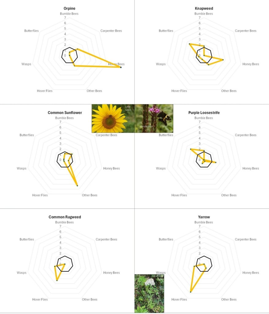 radar diagrams used to show various insect group's flower preferences