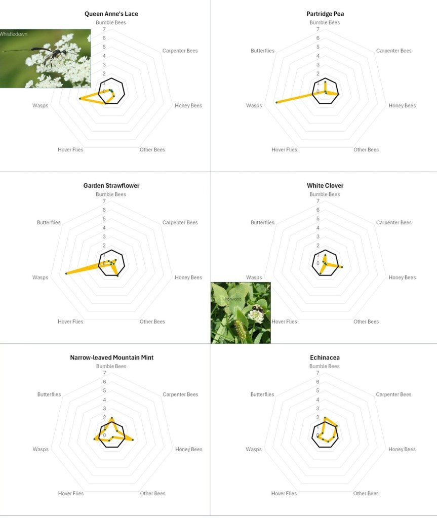 radar diagrams used to show various insect group's flower preferences