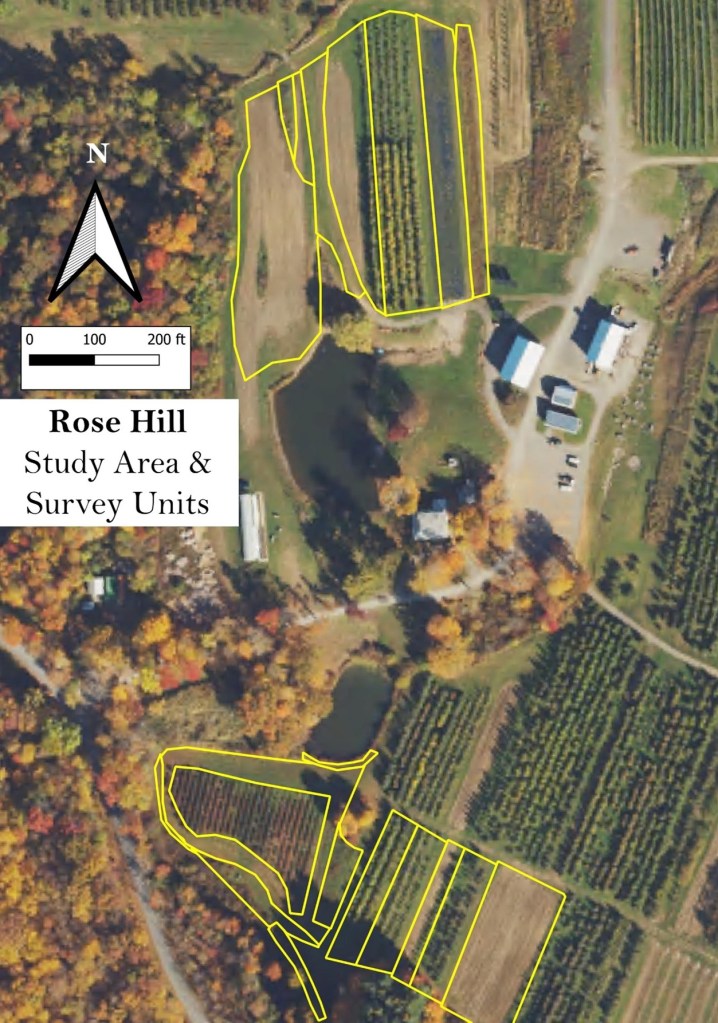 aerial showing survey units at Rose Hill