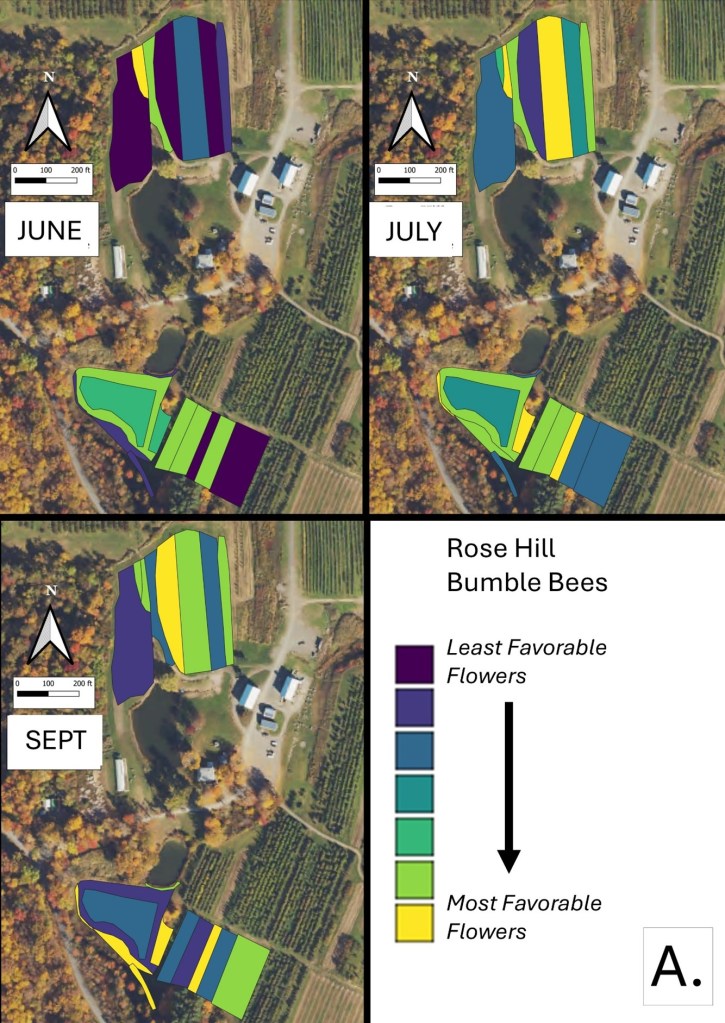 a map of flower favorability for bumble bees