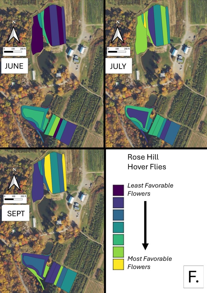 a map of flower favorability for hover flies